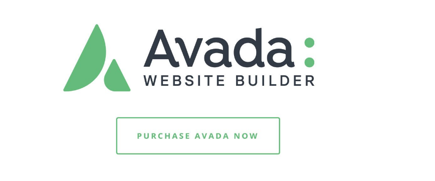Avada Professional WordPress Theme Customization