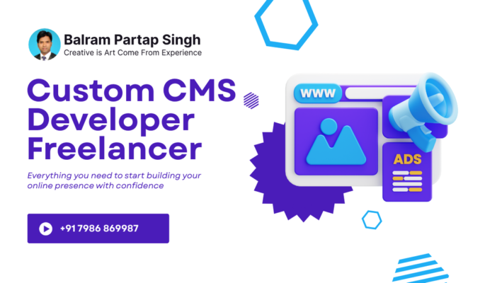 Custom CMS Developer Freelancer